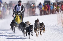 Lenk 2013